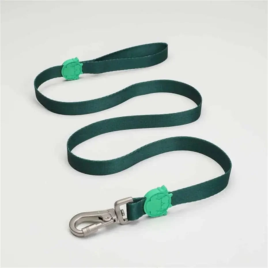 Lindo Brazil Dog Leash Durable Walking Strap Medium 20mm x 120cm