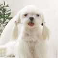 M-Pets Glam Stone and Pearl Pet Hair Accessory Black & Grey