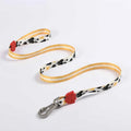 Lindo Bad Mouse Dog Leash for Medium Breeds 20mm x 120cm