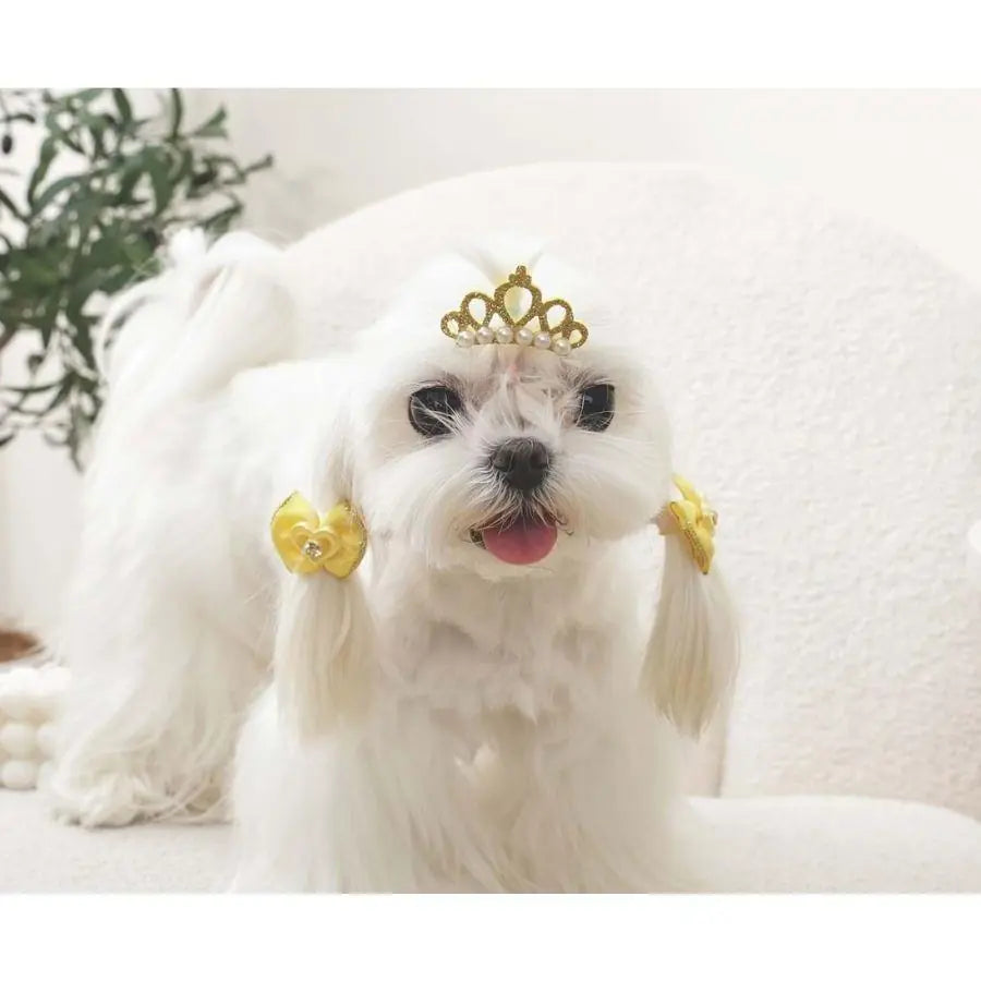 M-Pets Glam Yellow Crown and Bow Accessory for Cats and Dogs