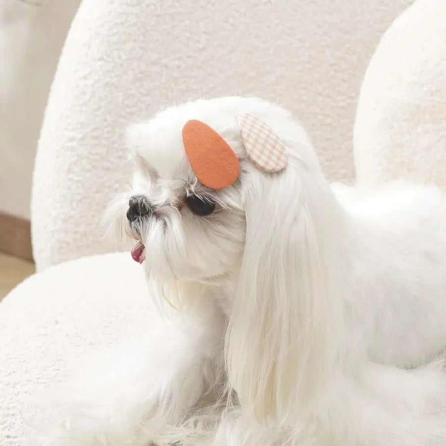 M-Pets Glam Patterned Accessory Hair Clip for Cats & Dogs Orange