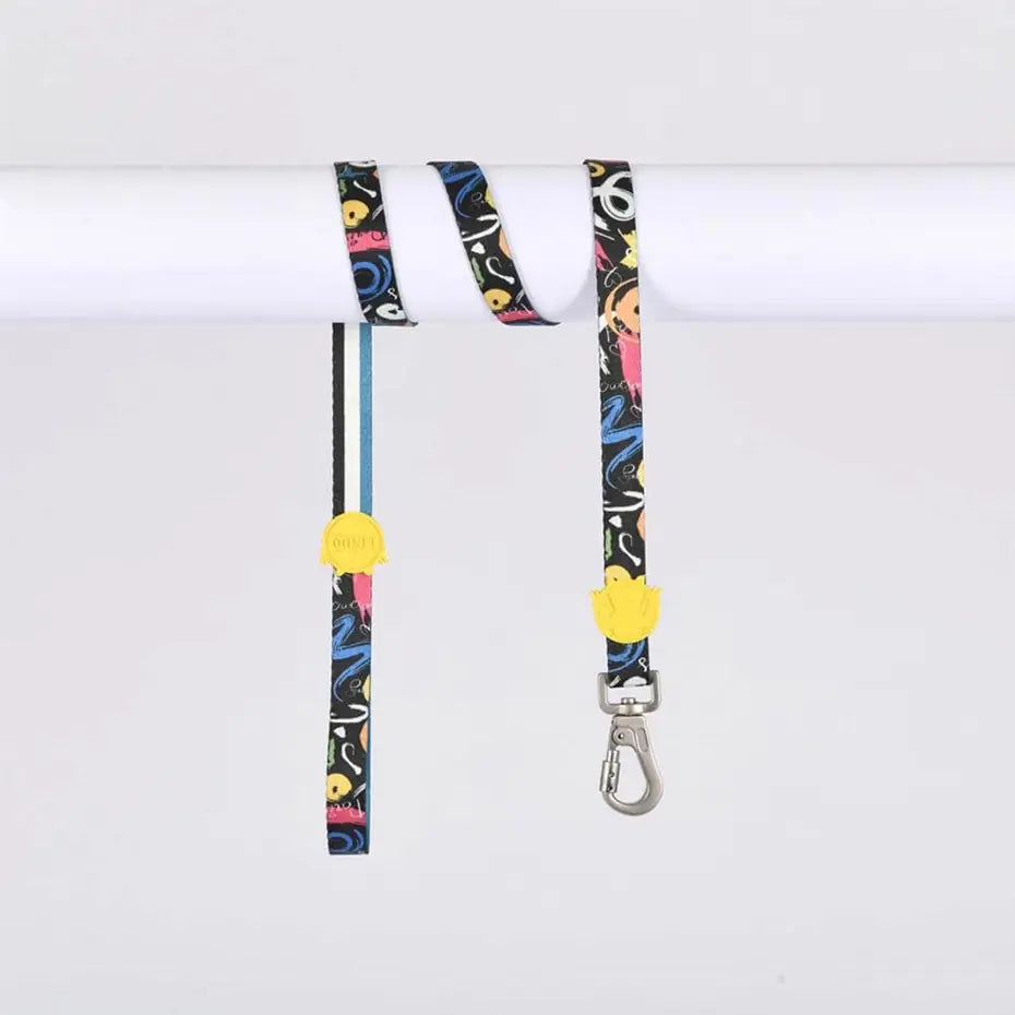 Lindo Enjoy Small Dog Leash for Daily Walking 15mm x 120cm