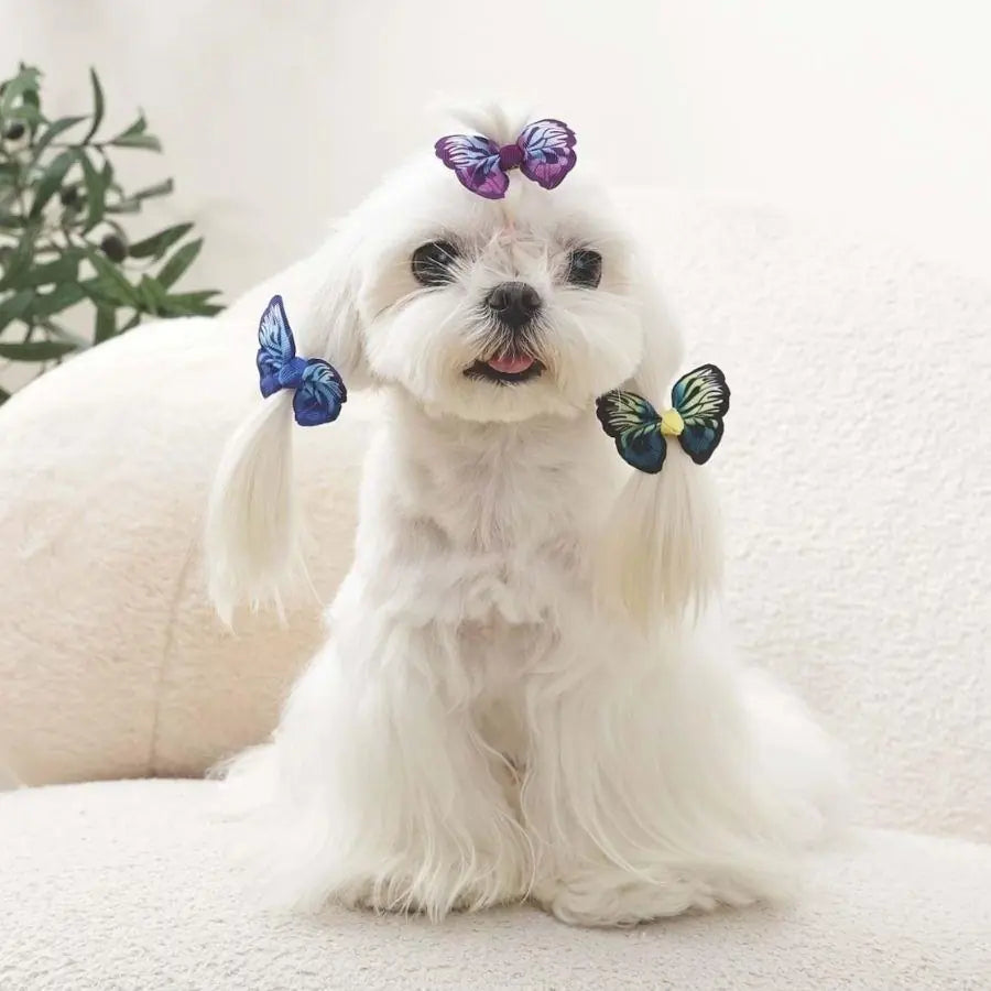M-Pets Glam Butterfly Hair Clips for Cats & Dogs 3-Pack