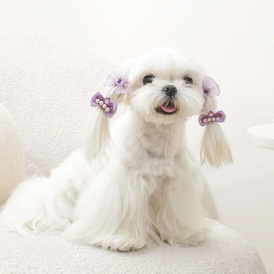 M-Pets Glam Purple Bow Accessory for Cats and Dogs