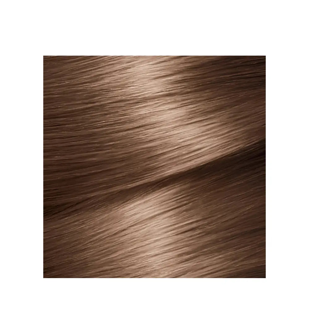 Garnier Color Naturals 6 Dark Blonde Nourishing Hair Color