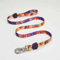 Lindo Ginger Man Large Dog Leash Durable Nylon 25mm x 120cm