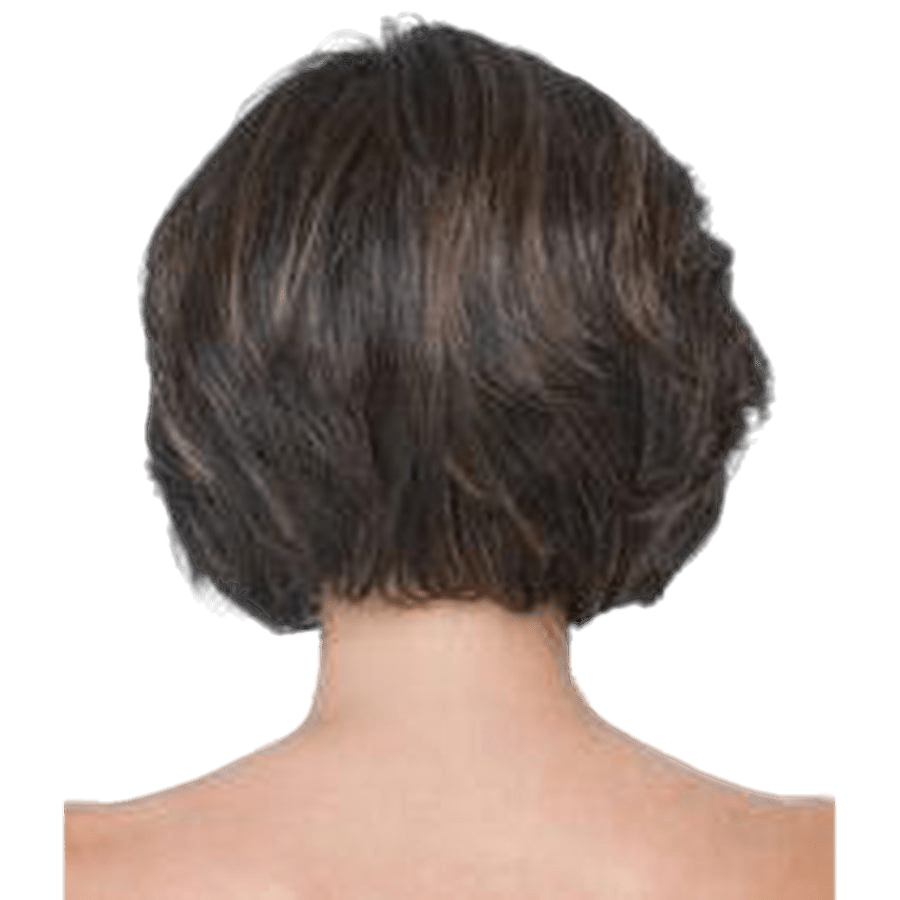 Raquel Welch In Charge Wig Hairpiece New With Tags
