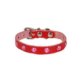 Cattie Studded Leather Cat Collar for Small Pets 1x16-20cm