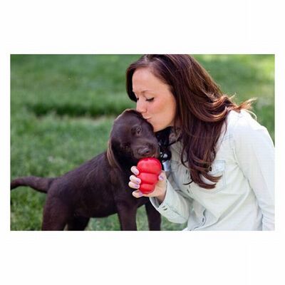 Kong Classic Natural Rubber Dog Toy Durable Chew Toy Medium 9cm