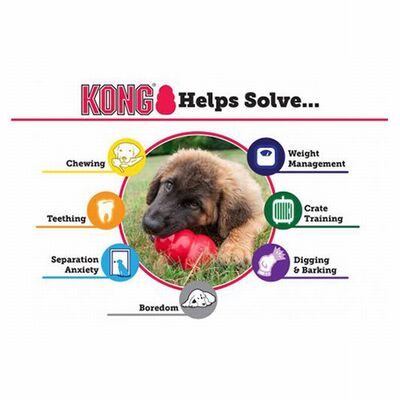 Kong Classic Durable Rubber Dog Toy for Large Breeds XXL 6in