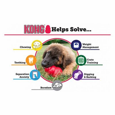 KONG Extreme Rubber Dog Toy Ultra Durable Chew Toy XXL 15.5cm