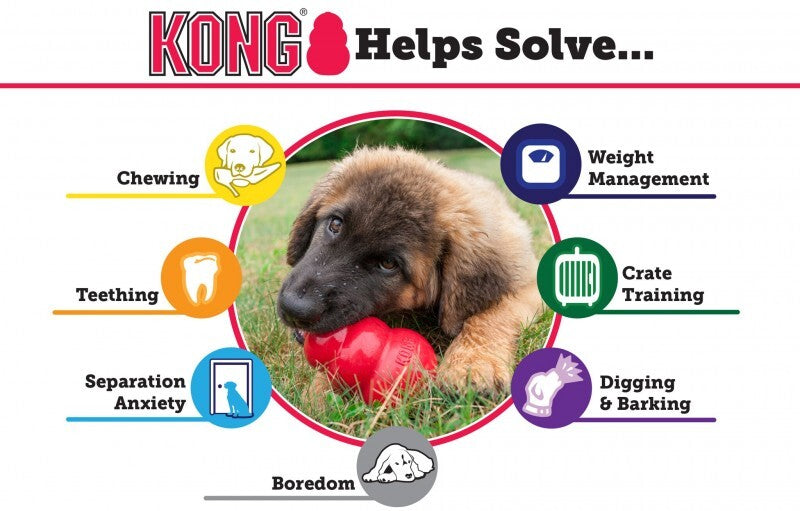 KONG Extreme Small Ultra-Durable Rubber Dog Toy 3in