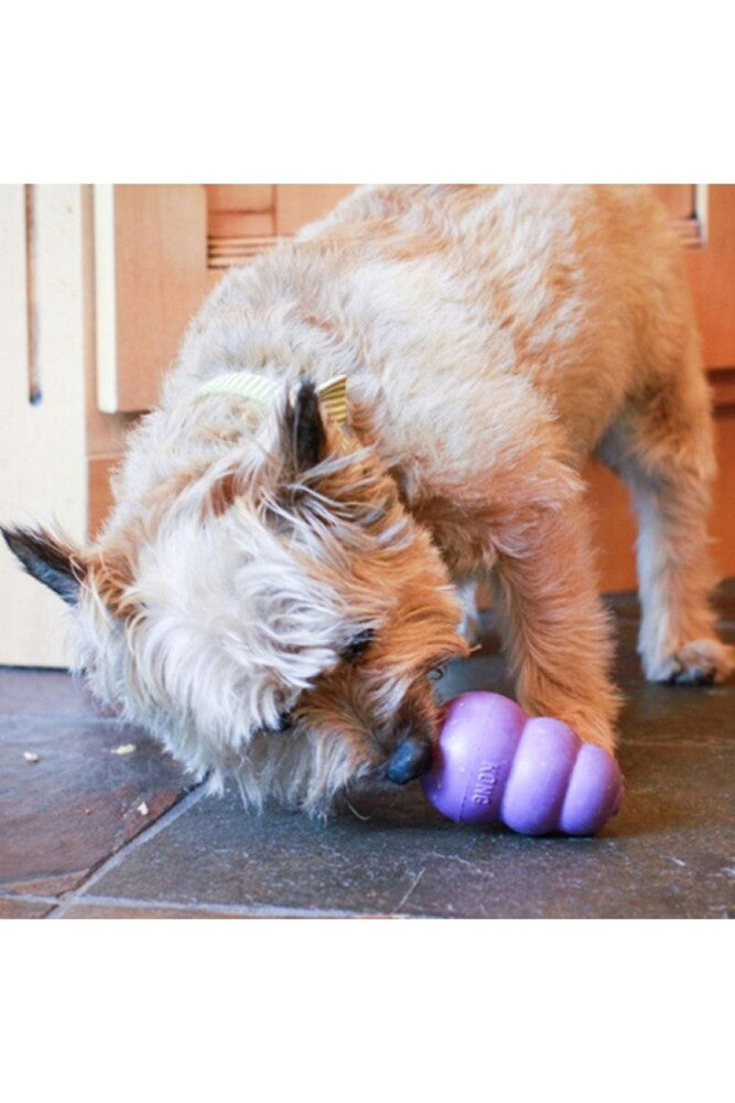 KONG Senior Dog Chew Toy for Aging Dogs Small