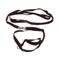 Elit Bird Harness and Leash for Outdoor Training