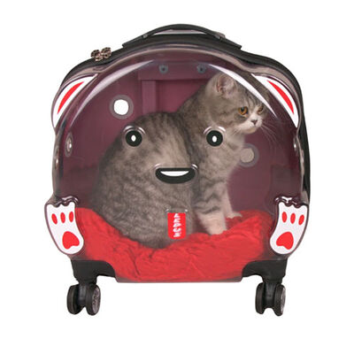 Lepus Transparent Rolling Pet Carrier for Cats and Dogs Pink