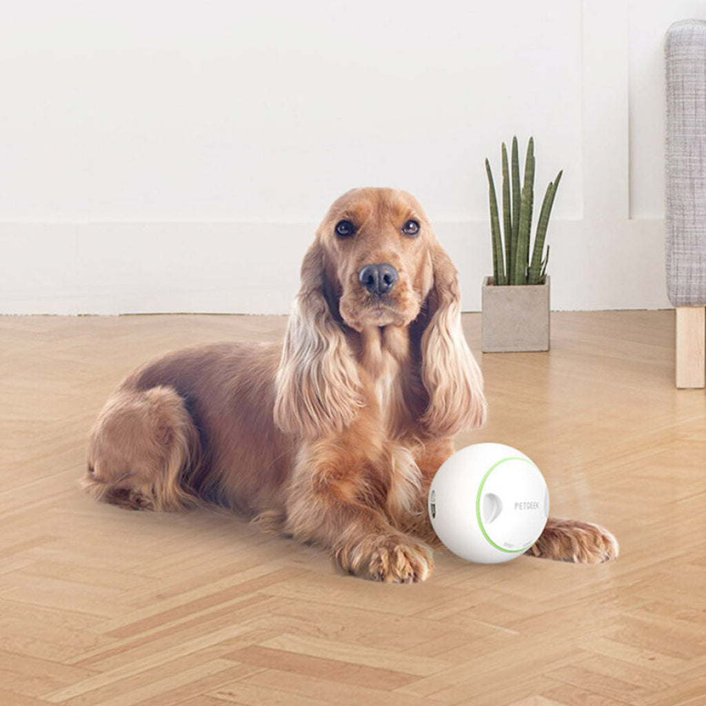 Gigwi Petgeek Interactive Food Dispensing Dog Toy 380ml
