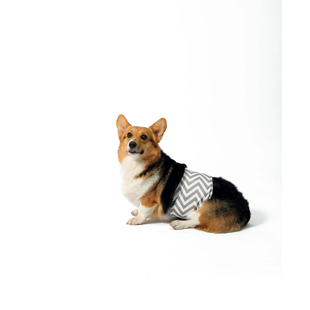M-Pets Washable Male Dog Diaper for Incontinence Small 25-33cm
