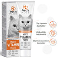Vet's Plus Multi-Vitamin & Taurine Malt Cat Paste 100g
