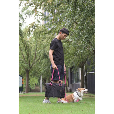 M-Pets 2in1 Remix Pet Carrier with Shoulder Strap Pink 41x28x28cm