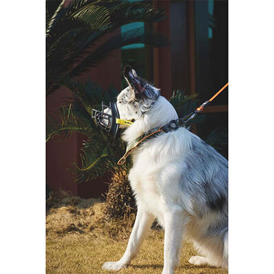 M-Pets Bark Guard Breathable Dog Muzzle Large 19x14x9 cm