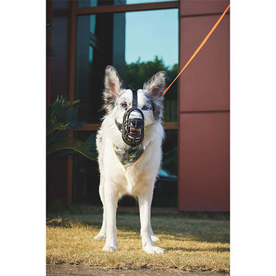 M-Pets Bark Guard Breathable Dog Muzzle Large 19x14x9 cm