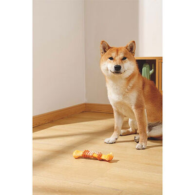 M-Pets Carnivore Ring Bone Bacon Scented Dog Chew Toy 17.8cm