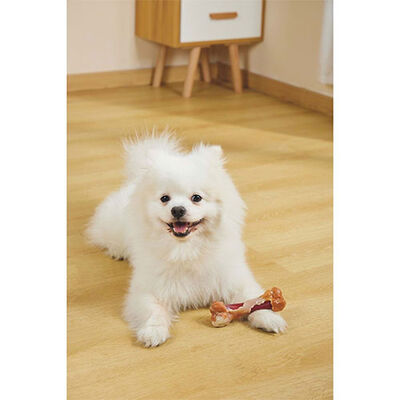 M-Pets Carnivore Savoury Bone Bacon Flavored Dog Toy 14.5cm