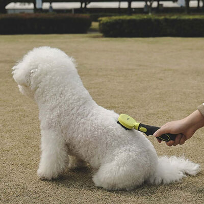 M-Pets Click & Groom Soft Bristle Pet Brush for Cats & Dogs Small
