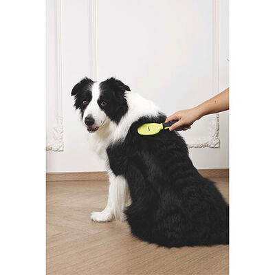 M-Pets Click & Groom Bristle Brush for Shiny Pet Coats 22cm