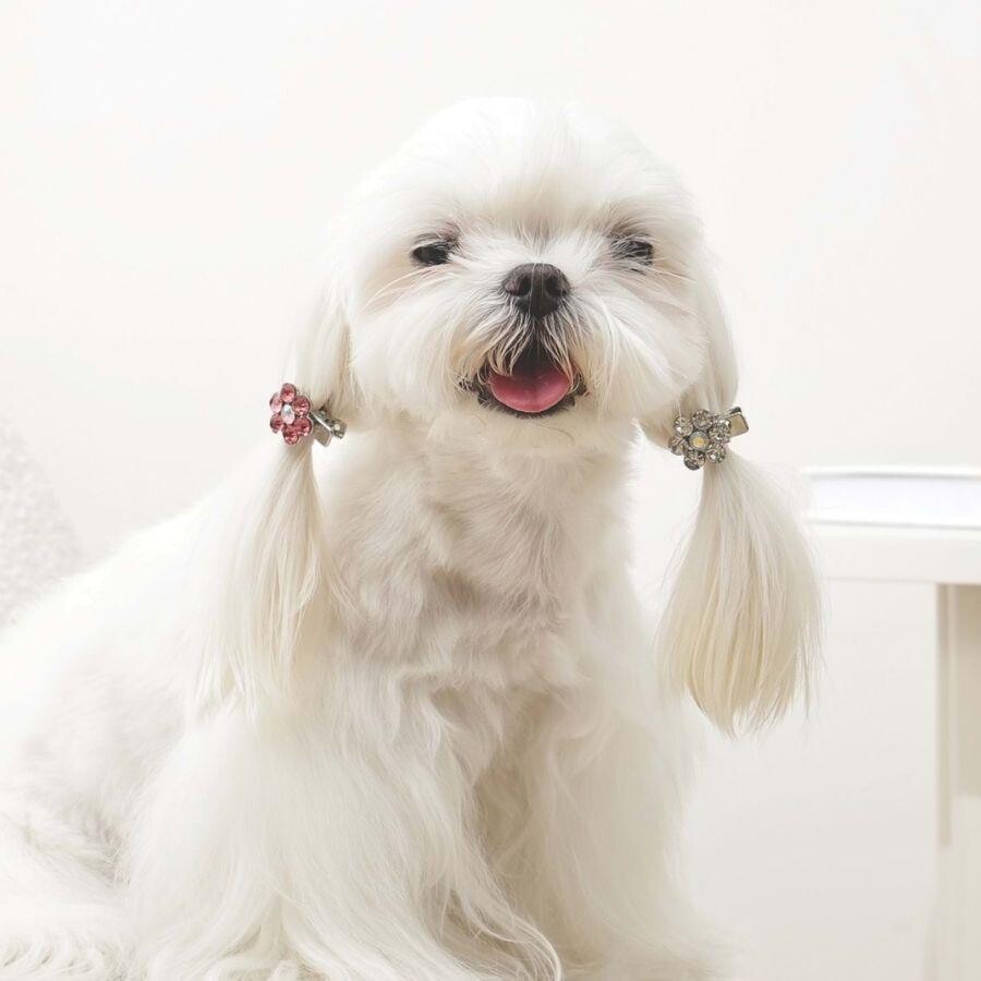 M-Pets Glam Floral Pet Hair Clip for Cats & Dogs - Pink/White