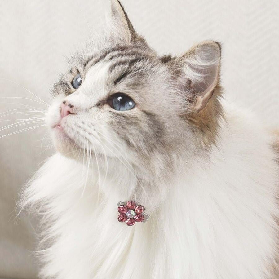 M-Pets Glam Floral Pet Hair Clip for Cats & Dogs - Pink/White