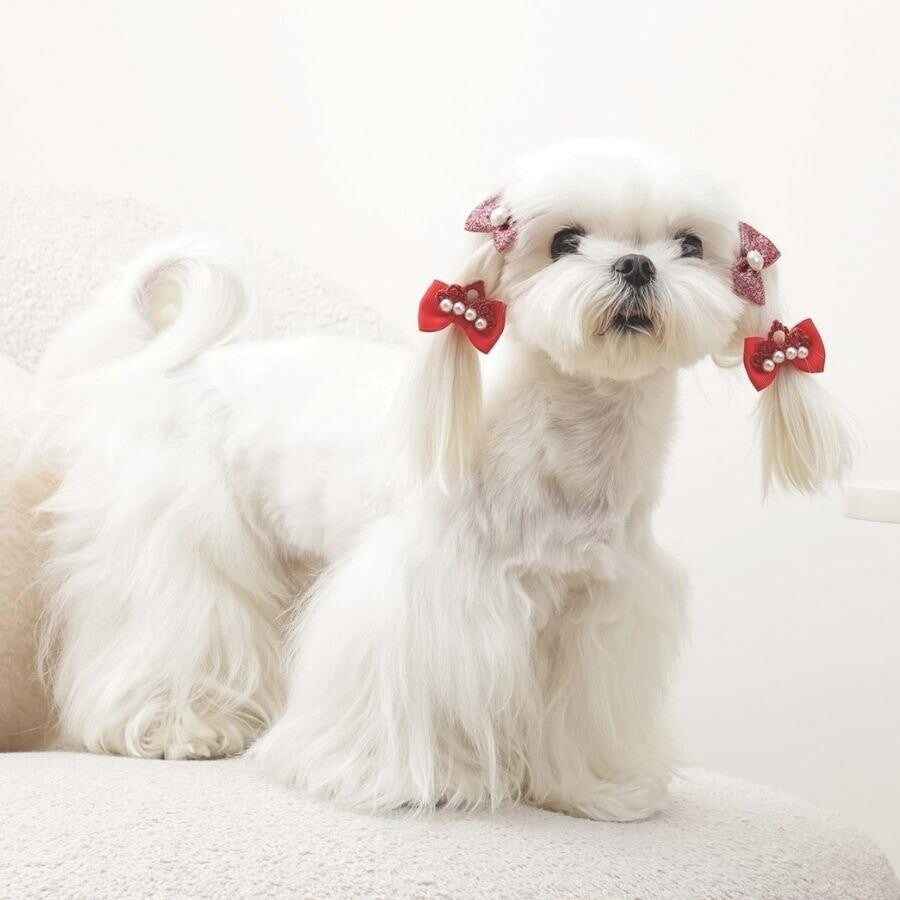 M-Pets Glam Red Bow Accessory for Cats and Dogs 2-Pack