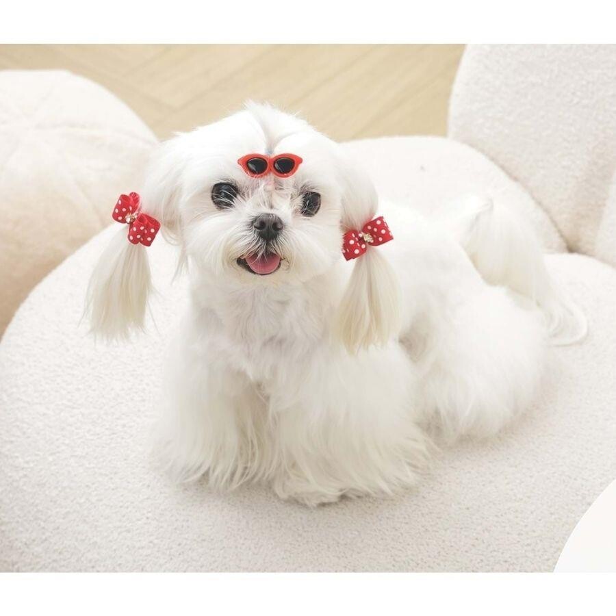 M-Pets Glam Bow and Glasses Pet Hair Clips Set in Red