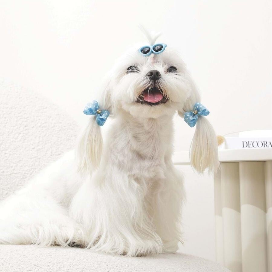 M-Pets Glam Blue Glasses and Bow Hair Clip Accessory Set