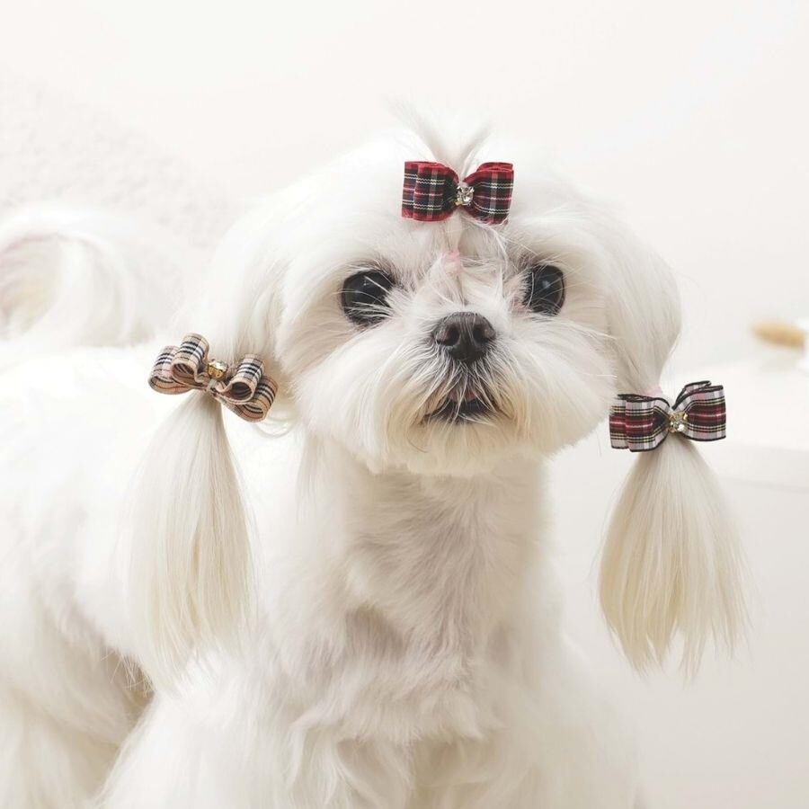 M-Pets Glam Red Plaid Bow Hair Clip for Cats and Dogs