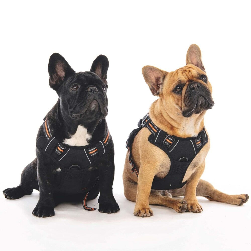 M-Pets Hiking Soft Reflective Dog Harness Orange Size M