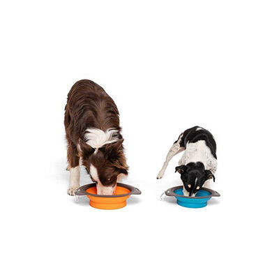 M-Pets Foldable Silicone Pet Travel Bowl for Food & Water Blue 420ml