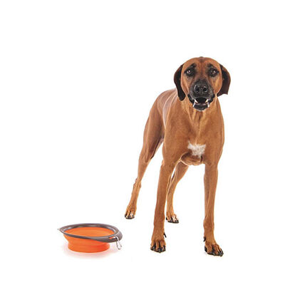 M-Pets Collapsible Silicone Pet Bowl Large Orange 1230 ml