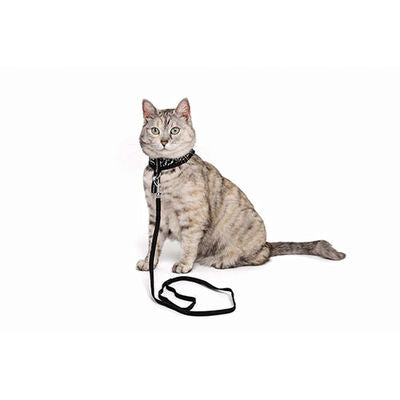 M-Pets Letsgo Cat Harness and Leash Set Black 30-42 cm