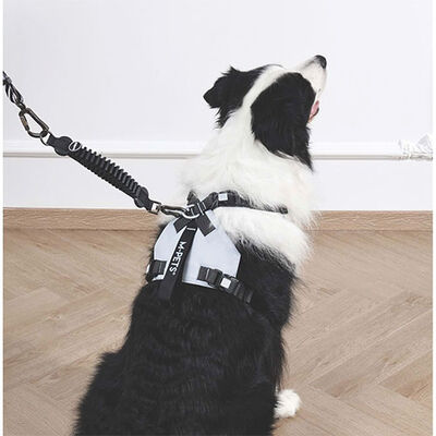 M-Pets Pull Power Shock Absorbing Dog Leash Extension Black 25 cm