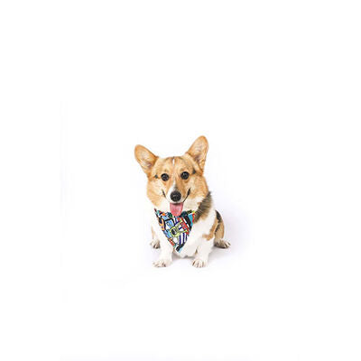 M-Pets Urban Style Freestyle Dog Bandana Eco-Friendly Small 13x33cm