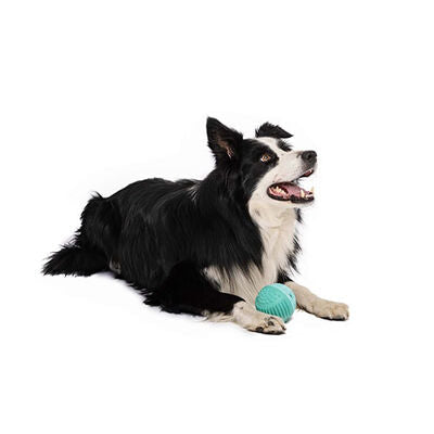 M-Pets Vice Versa Beef Scented Dual-Texture Dog Ball 8.38 cm