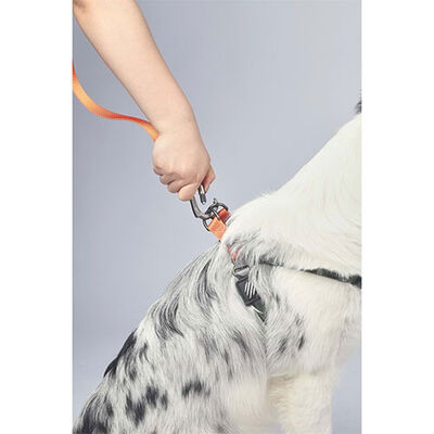M-Pets Wild Jungle Dog Leash Orange Pattern L-XL 2x120cm