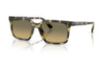 Michael Kors MK2282U Olive Tortoise Rectangle Sunglasses 55mm
