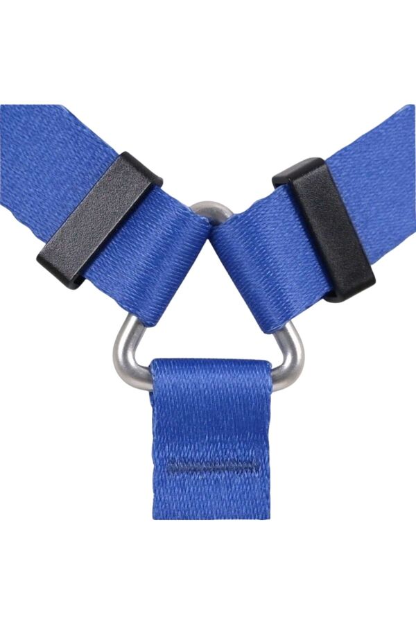 Lindo Monster H-Type Dog Harness for Secure Walking Small