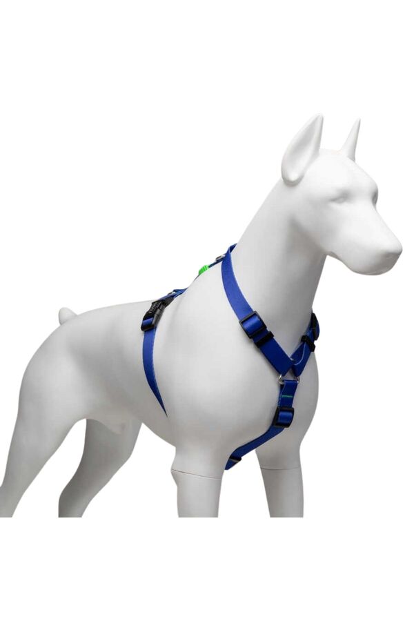 Lindo Monster H-Type Dog Harness for Secure Walking Small