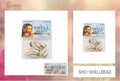 Natural Shell Bead