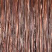 Raquel Welch Top Billing 18" Hair Topper Hairpiece