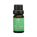 Nine Mine Winter Savory Essential Oil 100% Pure 10 ml