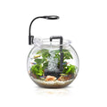 Nubios Desktop Plastic Aquarium Set Compact 3.7L Fish Tank
